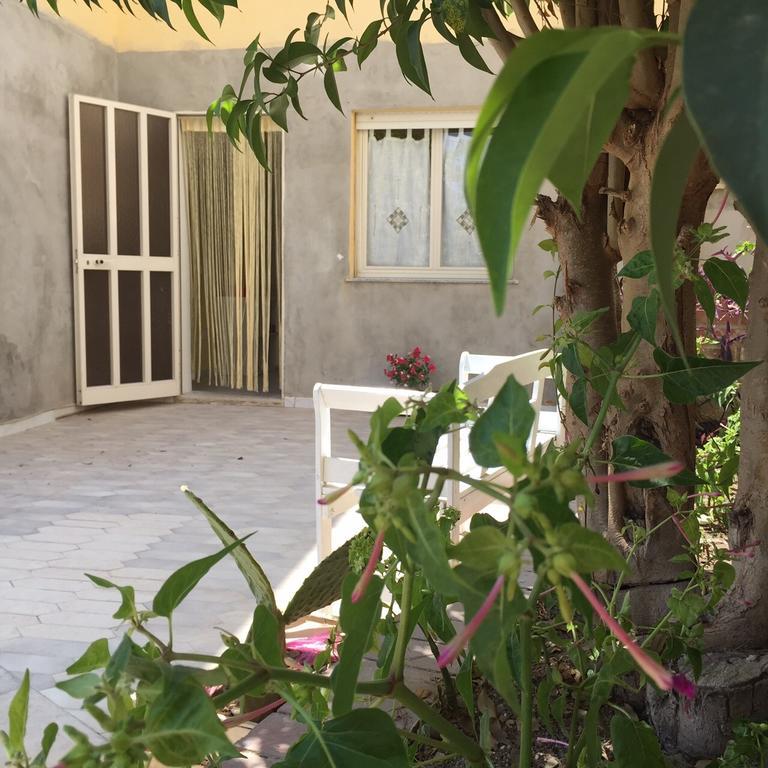 Noto Holiday المظهر الخارجي الصورة